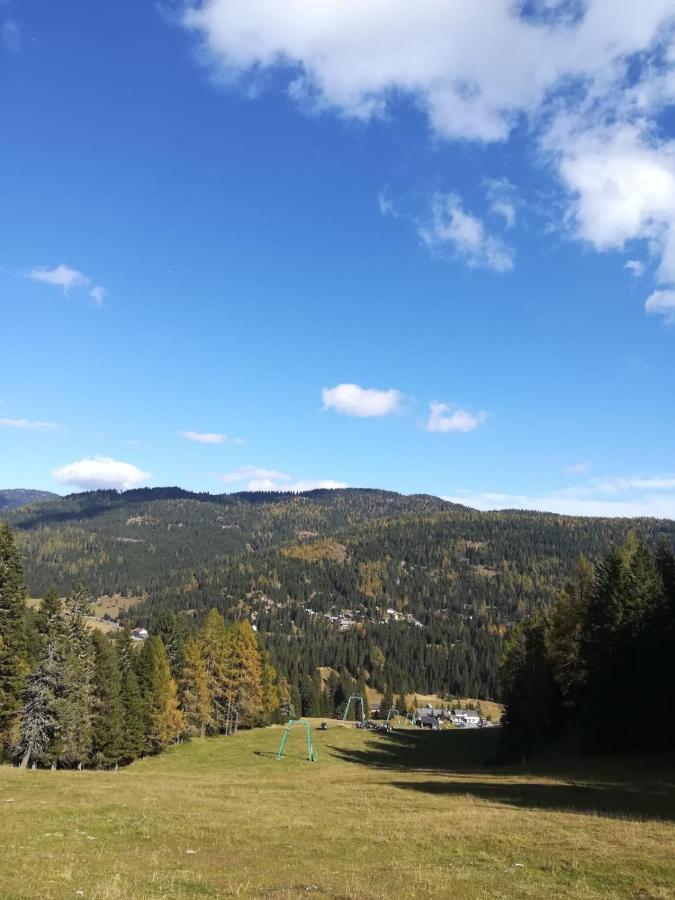 Almhaus Kaernten Flattnitz Екстер'єр фото