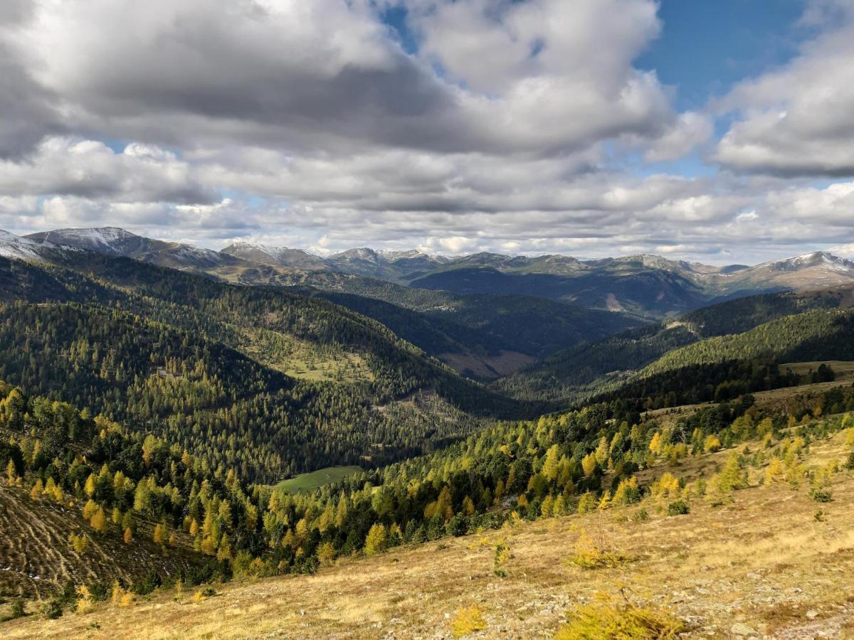 Almhaus Kaernten Flattnitz Екстер'єр фото