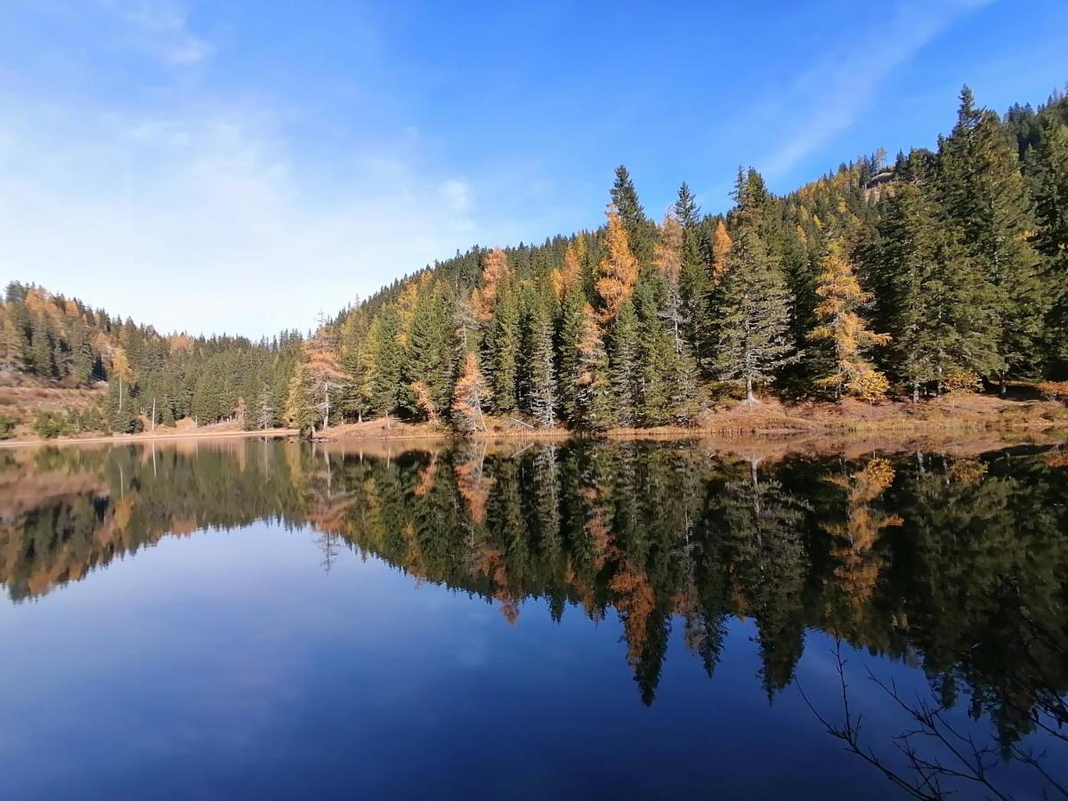 Almhaus Kaernten Flattnitz Екстер'єр фото