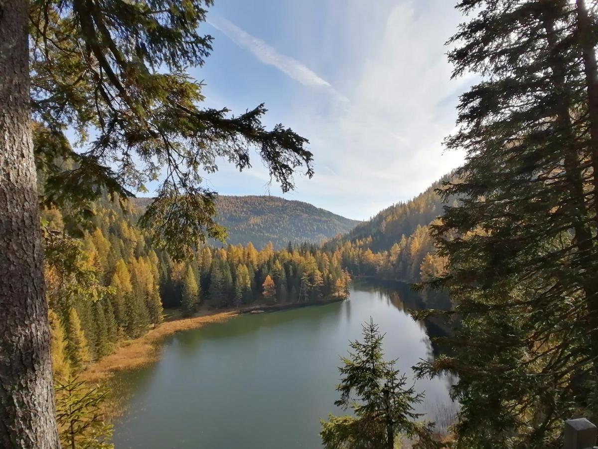 Almhaus Kaernten Flattnitz Екстер'єр фото